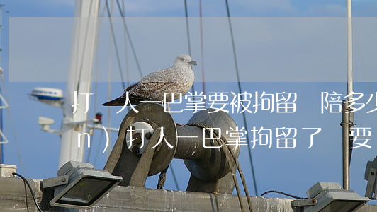打別人一巴掌要被拘留嗎?陪多少錢(qián)?(打人一巴掌拘留了還要賠償嗎)