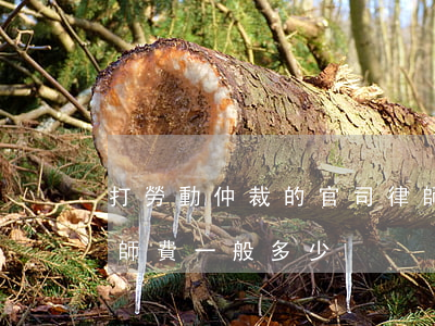 打勞動仲裁的官司律師費多少(打勞動官司律師費一般多少)
