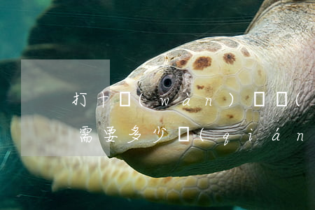打十萬(wàn)塊錢(qián)的官司需要多少錢(qián)費(fèi)用(十萬(wàn)塊錢(qián)的官司律師費(fèi)是多少)