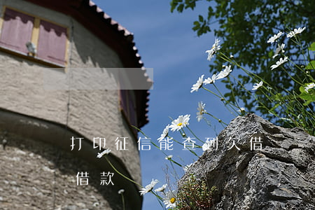 打印征信能查到欠借唄嗎(打征信能查到借唄借款記錄嗎)