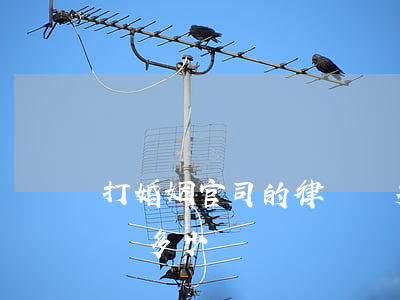 打婚姻官司的律師費多少錢(打官司一般律師費多少錢)