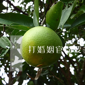 打婚姻官司要多少錢(打官司一般多少錢)