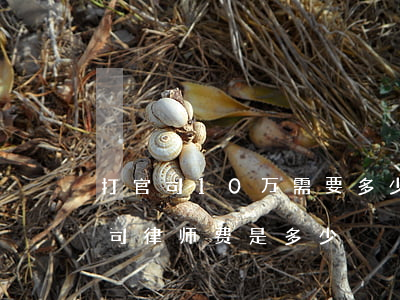 打官司10万需要多少律师费(十万块钱的官司律师费是多少)
