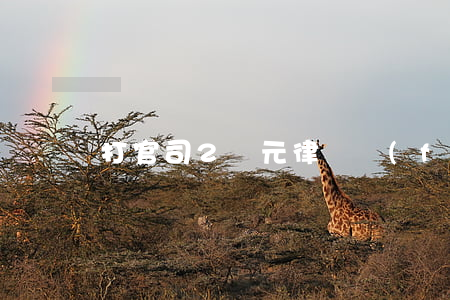 打官司2萬元律師費(fèi)收多少錢