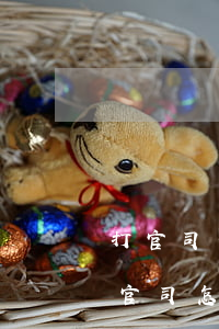 打官司一定要请律师如何收费标准，请律师打官司怎么收费标准