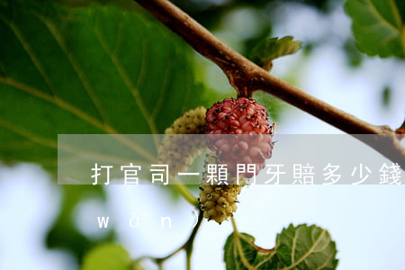 打官司一顆門牙賠多少錢(一顆門牙賠5萬(wàn))
