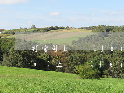 打官司上訴費(fèi)是多少錢(qián)(上訴費(fèi)需要多少錢(qián))