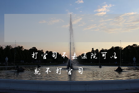 打官司不去法院可以嗎(為什么說能不打官司就不打官司)