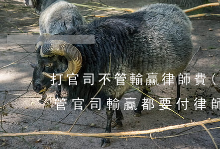 打官司不管輸贏律師費(fèi)一樣嗎(不管官司輸贏都要付律師費(fèi))