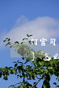 打官司不給律師錢(qián)會(huì)怎么樣(有沒(méi)有打官司不要錢(qián)的律師)