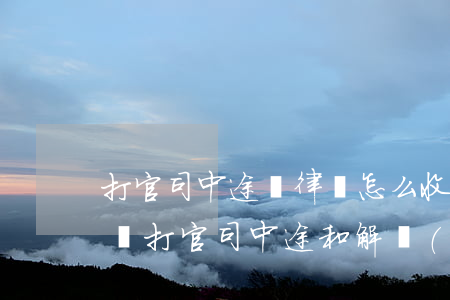 打官司中途換律師怎么收費(fèi)(找律師打官司中途和解費(fèi)用是怎么收的)