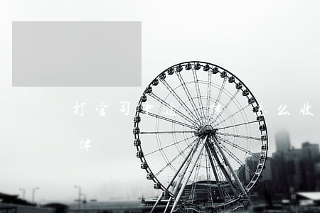 打官司中途換律師怎么收費(先打官司后收費律師)