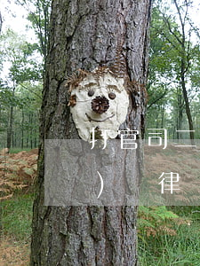 打官司二次開(kāi)庭要錢(qián)嗎(律師二次開(kāi)庭還要收費(fèi)嗎)