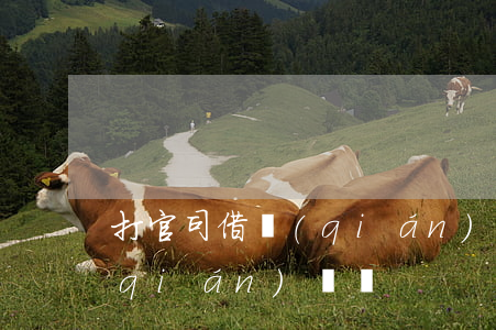打官司借錢(qián)視頻 打官司借錢(qián)視頻