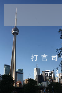 打官司借錢不還300(打官司借錢不還300元怎么辦)