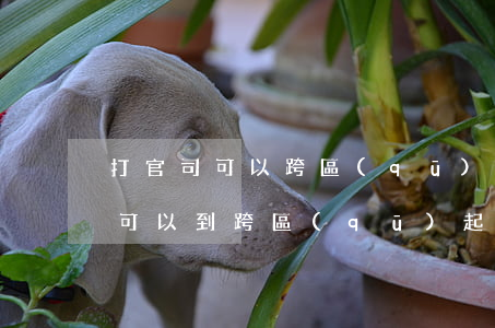 打官司可以跨區(qū)提交訴訟嗎(打官司可以到跨區(qū)起訴嗎?)