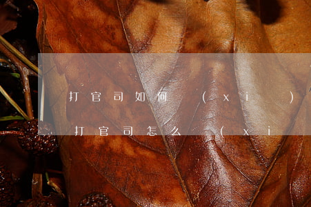 打官司如何寫(xiě)起訴書(shū)(打官司怎么寫(xiě)訴狀)
