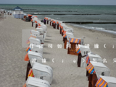 打官司如何給證據(jù)編號(打官司錄音證據(jù)怎么交)