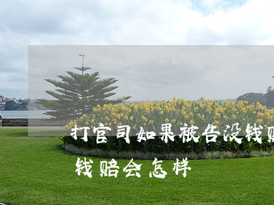 打官司如果被告没钱赔怎么办(打官司输了没钱赔会怎样)