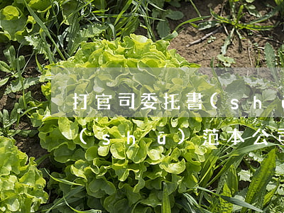 打官司委托書(shū)范本(打官司委托書(shū)范本 公司)