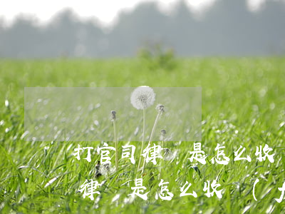 打官司律師是怎么收費(fèi)的(打官司律師是怎么收費(fèi)的3萬)
