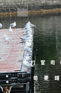打官司律師的費(fèi)用是多少錢(打官司要錢律師費(fèi)怎么算)