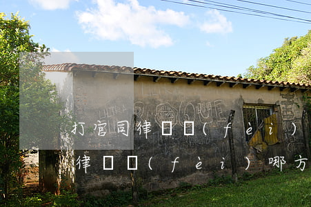 打官司律師費(fèi)一般多少錢(打官司律師費(fèi)哪方出)