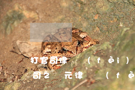 打官司律師費(fèi)一般要多少錢(打官司2萬元律師費(fèi)收多少錢)