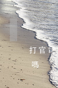 打官司律師費誰出(打官司律師費誰出,是敗方嗎)