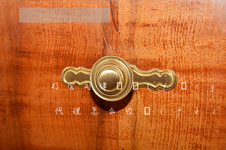 打官司律師風(fēng)險(xiǎn)代理怎么收費(fèi)(律師的風(fēng)險(xiǎn)代理費(fèi)一般是多少)