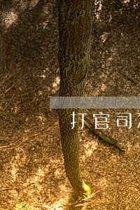 打官司怎么才能贏(如果打官司輸了怎么辦)