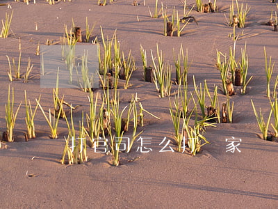打官司怎么打(國家與國家打官司怎么打)