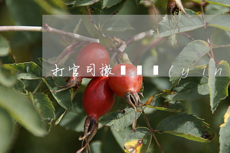 打官司撤訴費應(yīng)哪方出