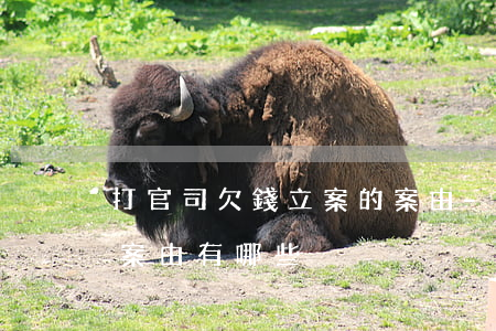 打官司欠錢立案的案由-打官司欠錢立案的案由有哪些