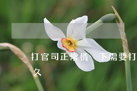 打官司正常情況下需要打多久(官司一般打多久)
