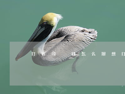 打官司沒錢怎么辦(想打官司沒錢怎么辦)