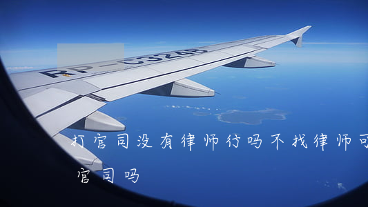 打官司没有律师行吗(不找律师可以自己去打官司吗)