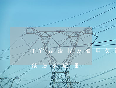 打官司流程及費用欠錢(打官司流程及費用欠錢怎么處理)