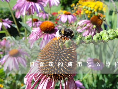 打官司的費用怎么算(打官司的費用哪方承擔)