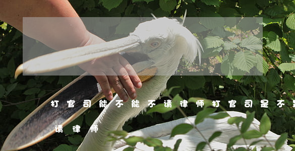 打官司能不能不请律师(打官司是不是必须要请律师)