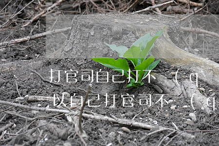 打官司自己打 不請(qǐng)律師行嗎(可以自己打官司不請(qǐng)律師嗎)