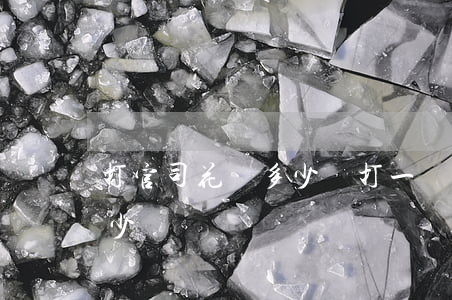 打官司花費多少錢(打一場要錢的官司需要多少錢)