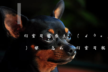 打官司被告主動(dòng)請(qǐng)律師怎么辦(打官司被告可以委托律師,自己不去么?)