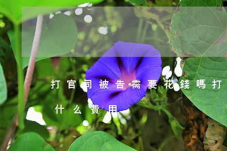 打官司被告需要花錢嗎(打官司被起訴方需要什么費用)