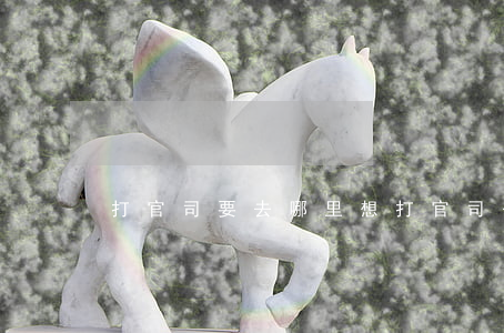 打官司要去哪里(想打官司去哪里咨詢)
