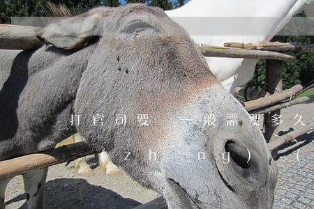 打官司要錢一般需要多久(打官司要錢需要多長(zhǎng)時(shí)間)