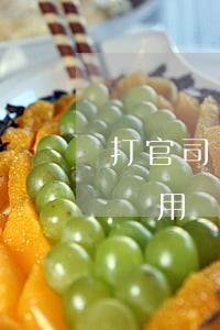 打官司訴訟費由誰承擔(dān)(法院起訴費用誰來承擔(dān))