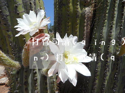 打官司請(qǐng)律師多少錢(qián)(打官司請(qǐng)律師費(fèi)多少錢(qián))