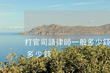 打官司請律師一般多少錢(打官司請律師一般多少錢)