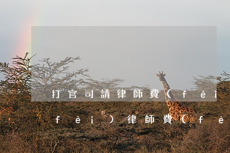 打官司請律師費(fèi)用多少(訴訟費(fèi)律師費(fèi))